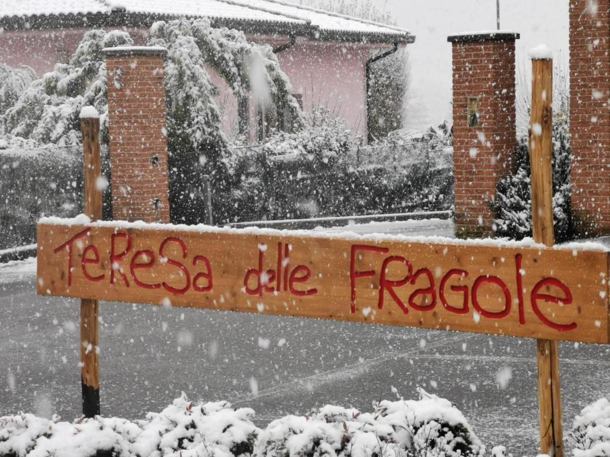 Agriturismo Teresa Delle Fragole Vigano Exterior foto